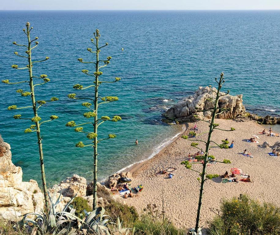 Raco D'En Pepe Otel Calella Dış mekan fotoğraf